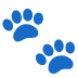 :paw_prints: :paw_prints: