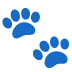 :paw_prints: