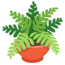:potted_plant: :potted_plant: