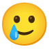 :smiling_face_with_tear: :smiling_face_with_tear: