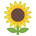 :sunflower: