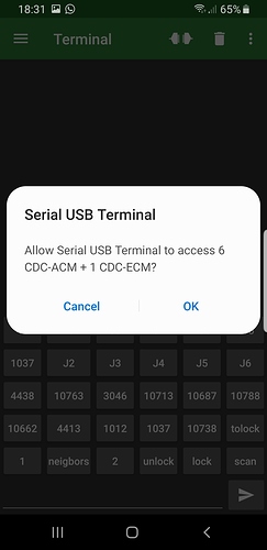 Screenshot_20200325-183120_Serial USB Terminal