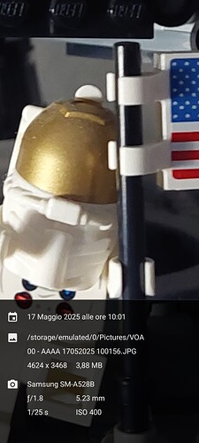 Screenshot_20250517_100247_File Manager +
