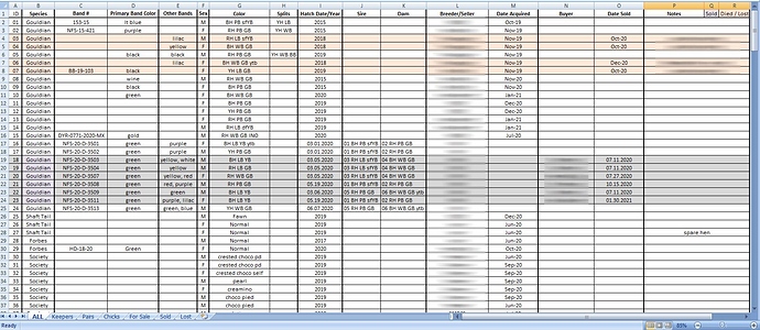 excel file