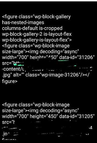 WhatsApp Image 2026-01-02 at 5.16.05 PM