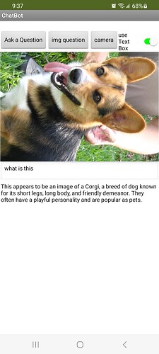 corgi.png