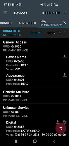 Screenshot_20250710_173340_nRF_Connect1