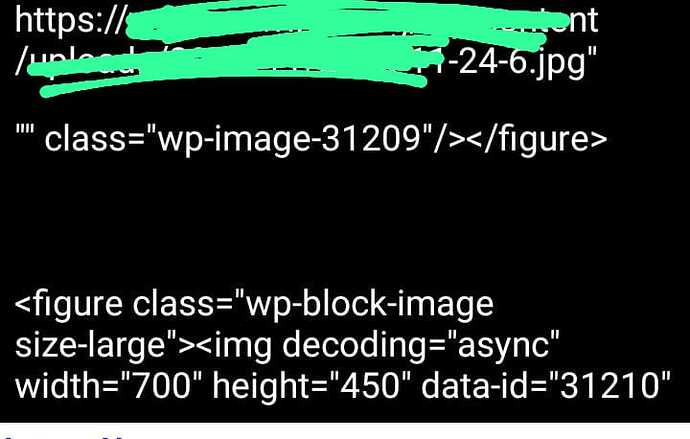 WhatsApp Image 2026-01-02 at 6.55.00 PM