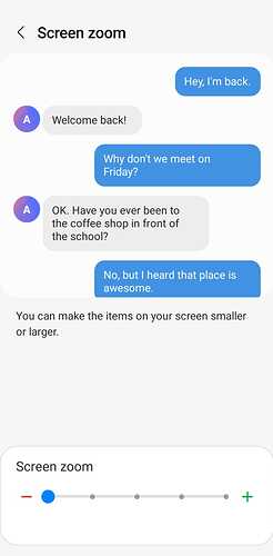 screenzoom_settings