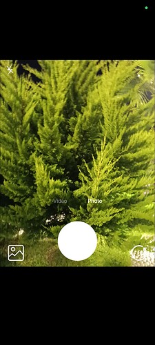 Screenshot_2025-09-04-04-00-16-844_edu.mit.appinventor.aicompanion3