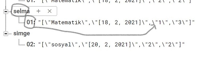Ekran görüntüsü 2021-02-21 004358