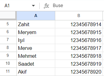 Ekran görüntüsü 2024-06-23 113622