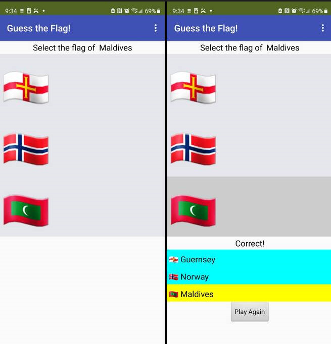 Guess_the_Flag game! - App Showcase - MIT App Inventor Community