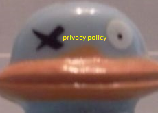 Privacy Policy