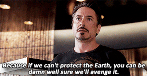 if-we-cant-protect-the-earth-we-will-avenge-it