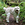 Andrew_Baccari - Original Poster