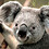 Chris_Jones