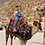 Doaa_Ghonem