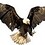 fix_falcon