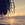 Gerald_Ferreira - Most Recent Poster