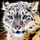 Pablo_Ciccone