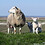 Pieter_J_van_Horssen